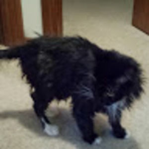 Meet your Posher, Naomi